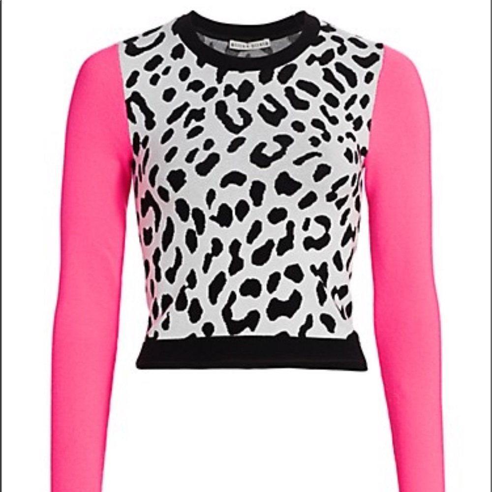 Ciara Leopard Print Sweater BNWT SZ XS.